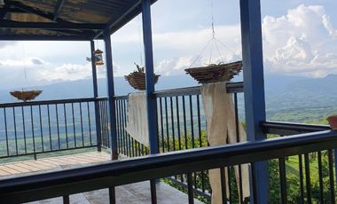 finca en arriendo en vereda morro azul. Cod A7344467