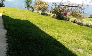 finca en arriendo en vereda morro azul. Cod A7344467