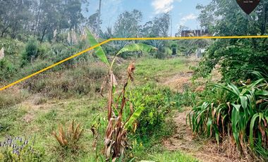 Terreno de venta en Autopista - Paccha – código:19176