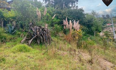 Terreno de venta en Autopista - Paccha – código:19176