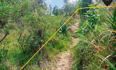 Terreno de venta en Autopista - Paccha – código:19176