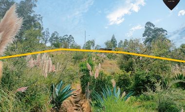 Terreno de venta en Autopista - Paccha – código:19176