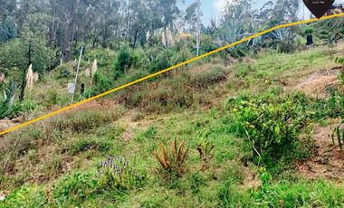 Terreno de venta en Autopista - Paccha – código:19176