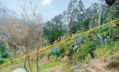 Terreno de venta en Autopista - Paccha – código:19176