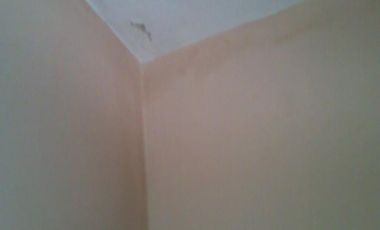 Lote de terreno con importantes mejoras en VENTA en Glew