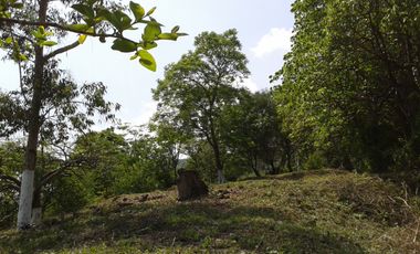 ETZATLÁN, Jal Terreno para SIEMBRA en venta 2,829m2