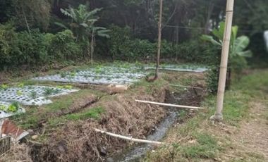 8400 M2 Tanah Eks Pabrik Tahu di Desa Kayuambon, Lembang, Bandung Barat