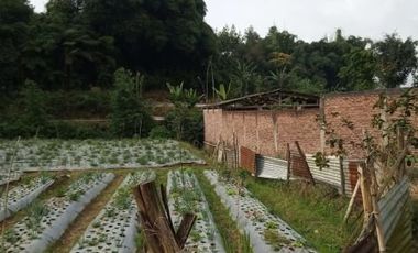 8400 M2 Tanah Eks Pabrik Tahu di Desa Kayuambon, Lembang, Bandung Barat