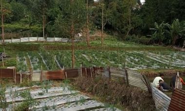 8400 M2 Tanah Eks Pabrik Tahu di Desa Kayuambon, Lembang, Bandung Barat