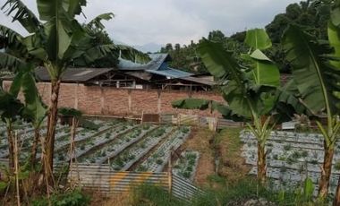 8400 M2 Tanah Eks Pabrik Tahu di Desa Kayuambon, Lembang, Bandung Barat