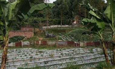 8400 M2 Tanah Eks Pabrik Tahu di Desa Kayuambon, Lembang, Bandung Barat