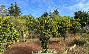 Casa en parcela La Princesa