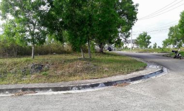 167 Sqm Residential Corner Lot for Sale in Bulacao, Talisay Cebu City with mountain view