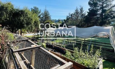 Encantadora parcela con casa en Melosilla