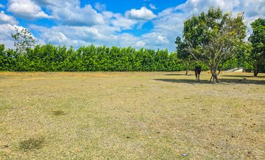 LOTE EN VENTA LA TORRE - ROZO. Cod V6379