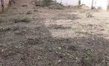 LOTE EN ARRIENDO EN MARAYA PEREIRA