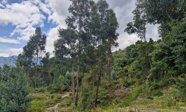 lote en venta en ráquira. Cod V405