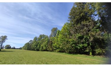 ¡ULTIMAS UNIDADES! Parcelas en venta a 20kms de VILLARRICA
