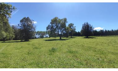 ¡ULTIMAS UNIDADES! Parcelas en venta a 20kms de VILLARRICA