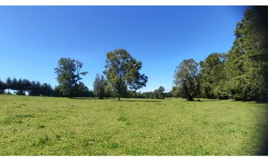 ¡ULTIMAS UNIDADES! Parcelas en venta a 20kms de VILLARRICA