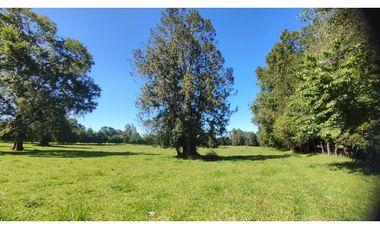 ¡ULTIMAS UNIDADES! Parcelas en venta a 20kms de VILLARRICA
