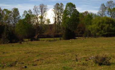 Hermoso Proyecto De Parcelas En Sector De Molco