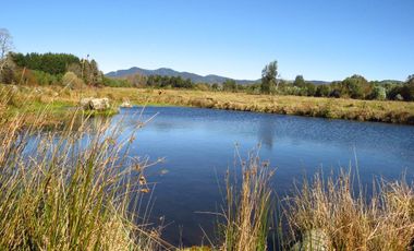 Hermoso Proyecto De Parcelas En Sector De Molco