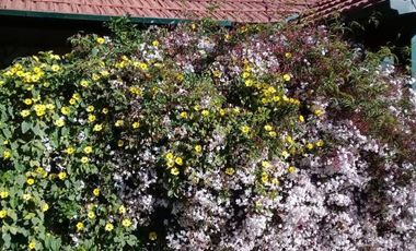 HERMOSA CASA 4 AMBIENTES