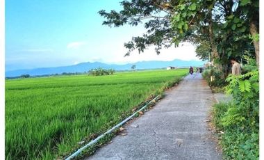 Tanah Purworejo SHM Cocok Hunian & Villa