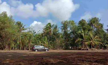 Tanah Purworejo SHM Cocok Hunian & Villa
