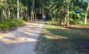 1,100sqm Lot for Sale in Dao, Dauis | BOHOLANA REALTY
