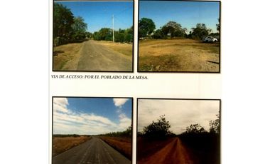 VENTA DE 52 HECTAREAS DE TERRENO EN LA MESA CENTRO