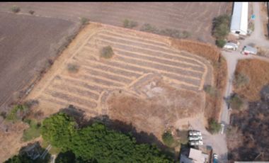 A un paso del lago de Tequesquitengo