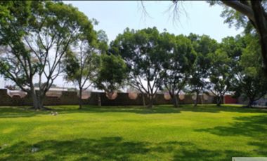 A un paso del lago de Tequesquitengo