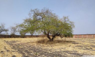 A un paso del lago de Tequesquitengo
