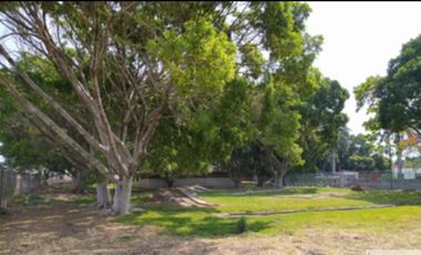 A un paso del lago de Tequesquitengo