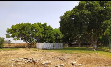 A un paso del lago de Tequesquitengo
