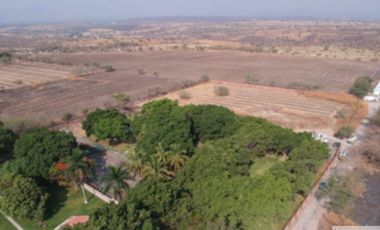 A un paso del lago de Tequesquitengo