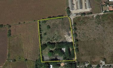 A un paso del lago de Tequesquitengo