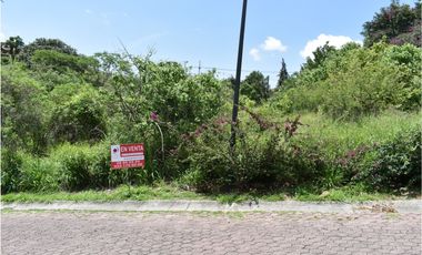 La noria: hermoso terreno dentro de privada