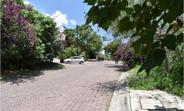 La noria: hermoso terreno dentro de privada