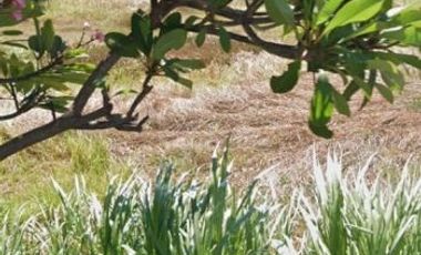 Tanah Tropodo Krian Harga Cocok Buat Investor