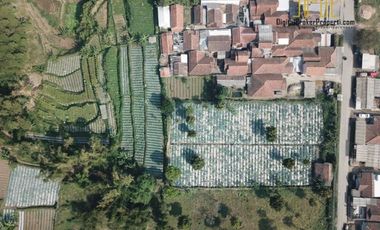 BU CEPAT tanah sawah dijual di cisarua bandung barat