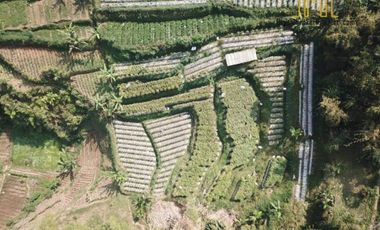 BU CEPAT tanah sawah dijual di cisarua bandung barat