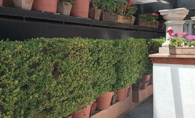 CASA EN VENTA EN CUAJIMALPA CONDOMINIO EL YAQUI