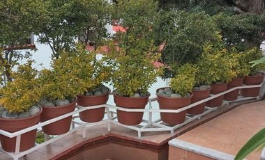 CASA EN VENTA EN CUAJIMALPA CONDOMINIO EL YAQUI