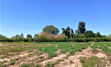 GREENWOOD VENDE LOTE DE GENEROSAS DIMENSIONES EN INMEJORABLE UBICACION, ZONA CAMINOS DEL VINO