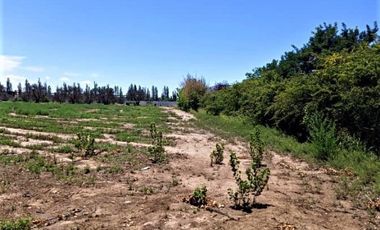 GREENWOOD VENDE LOTE DE GENEROSAS DIMENSIONES EN INMEJORABLE UBICACION, ZONA CAMINOS DEL VINO