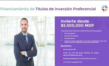 TITULOS DE INVERSION PREFERENCIAL Y TITULOS DE INVERSION INMOBILIARIA