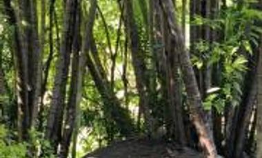 VENTA PROPIEDAD CON GRANDES JARDINES, ALBERCA, CANCHA DE TENIS Y MÁS